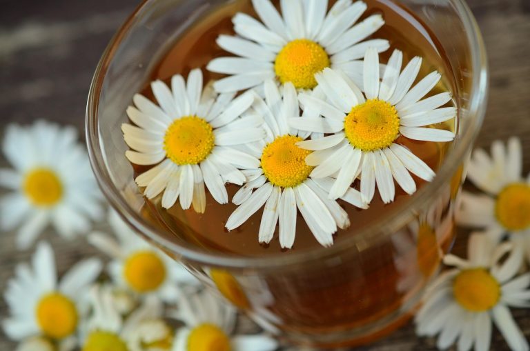 Tisane de camomille : quels bienfaits sont réellement prouvés ?